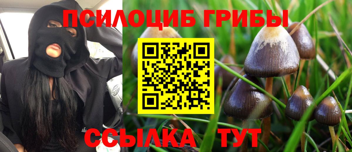 Галлюциногенные грибы мухоморы Егорьевск