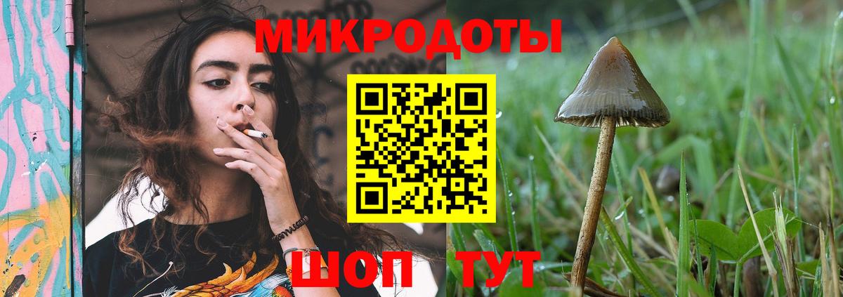 Галлюциногенные грибы Psilocybe  Вход с VPN  наркошоп  Галлюциногенные грибы Magic Shrooms  Егорьевск 